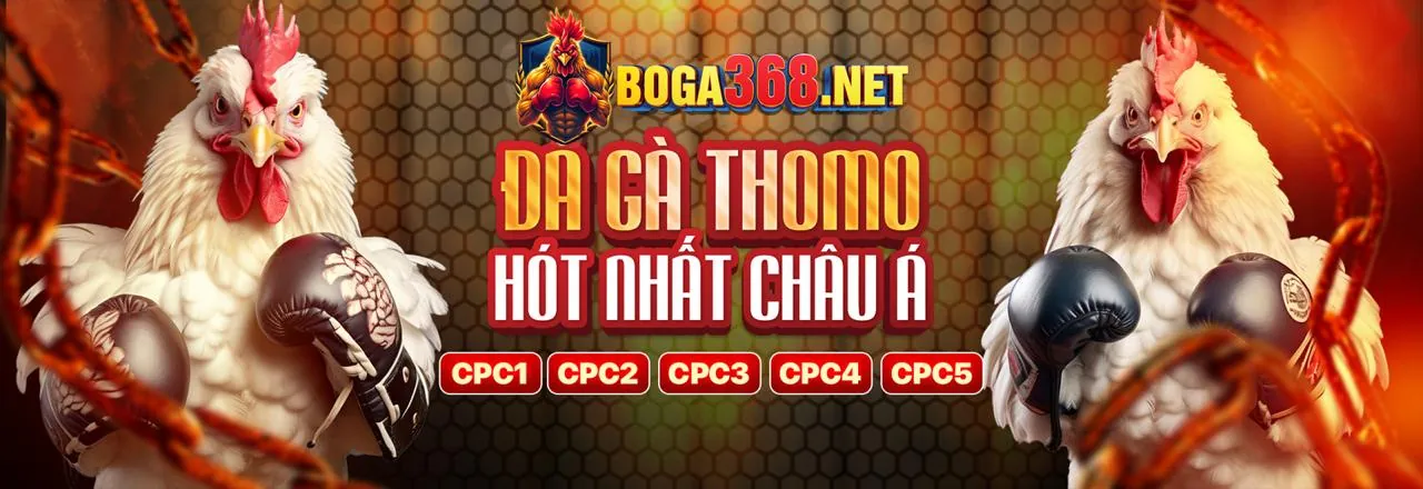 Giao diện cá cược trực tiếp sôi động tại mana88 code